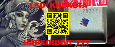 ПСИЛОЦИБИНОВЫЕ ГРИБЫ Кандалакша