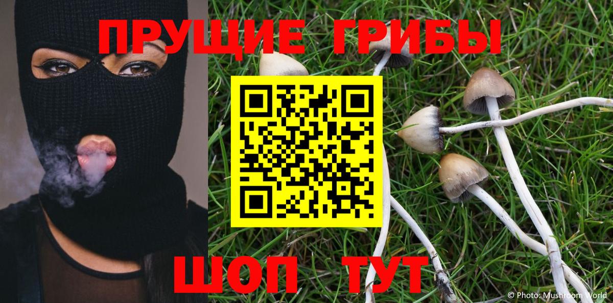 Галлюциногенные грибы Psilocybe  наркошоп  Краснознаменск  Вход с VPN 